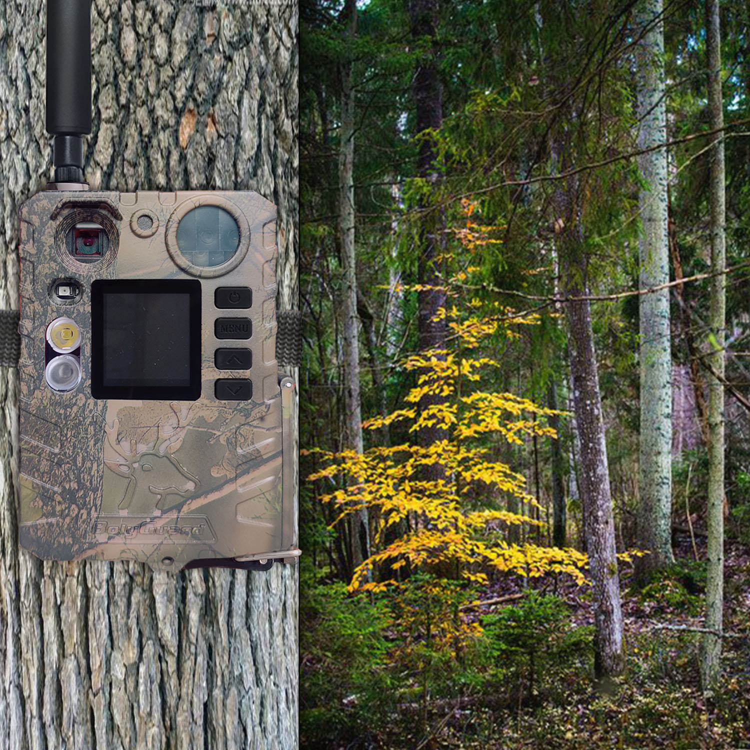 Bolyguard BG410-M(S) 4G Wildkamera Detail